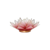 Lotus Sfeerlicht Rood_Roze met Goudrand – 13,5 cm Lotus Sfeerlicht Rood/Roze met Goudrand – 13,5 cm