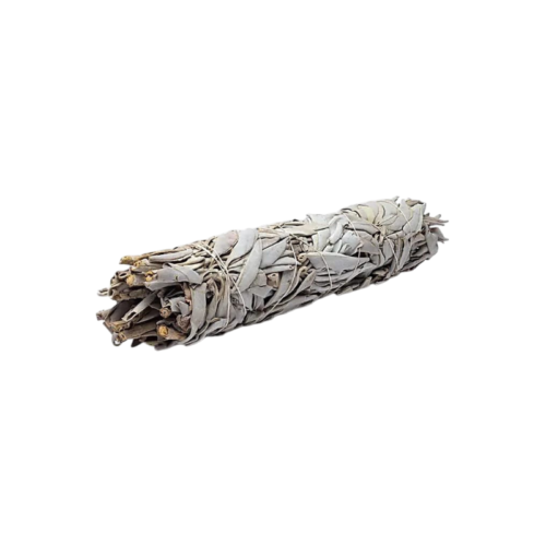 Witte Salie Smudge L – ca. 23 cm